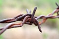 Macro barbed wire Royalty Free Stock Photo