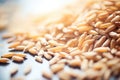 macro of barley grains used in brewing