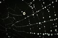 A macro of a beautiful spiders net in front of a black background with sparkling raindrops