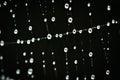 A macro of a beautiful spiders net in front of a black background with sparkling raindrops