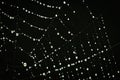 A macro of a beautiful spiders net in front of a black background with sparkling raindrops