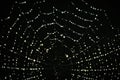 A macro of a beautiful spiders net in front of a black background with sparkling raindrops