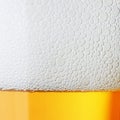 Macro beer with froth Royalty Free Stock Photo