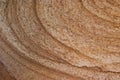 Macro Beige Sandstone Texture