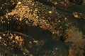 Macro black and gold Abstract bubble drop texture background. Acrylic color in water and oil Royalty Free Stock Photo