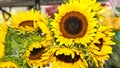 Macro of blooming sunflowers, at tropical farmers market