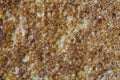 Macro bread texture Royalty Free Stock Photo