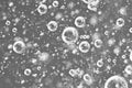 Macro bubbles of oxygen in the black and white liquid