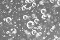 Macro bubbles of oxygen in the black and white liquid