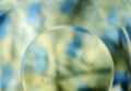 Macro bubbles in water Royalty Free Stock Photo