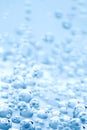 Macro bubbles of water Royalty Free Stock Photo