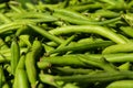 Macro of Bunch Fresh Green Beans at Local Food Market