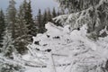 Macro bush covered with snow high in the mountains