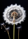 Macro capture of a dandelion. Generative AI