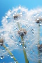 Macro capture of a dandelion. Generative AI