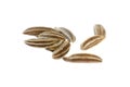 Macro caraway seeds. Macro dried of caraway seeds isolated on a white background, top view. Cumin seeds macro isolated