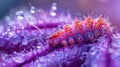 Macro caterpillar on purple flower with focus on legs and dewdrops in morning light Royalty Free Stock Photo
