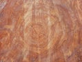 Secular pine trunk Royalty Free Stock Photo