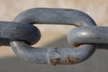 Macro of a chain link