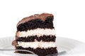 Macro chocolate cream cake with fork