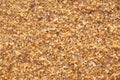 Macro of a clean ocean yellow sand texture Royalty Free Stock Photo