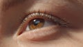 Macro close up brown eye. Caucasian woman watching up. Low angle shot high quality photo image. Royalty Free Stock Photo