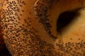 Macro close-up of center of poppy seed bagel