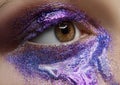 Macro and close-up creative make-up theme: beautiful female eye with purple pigment and sequins, retouched photo Royalty Free Stock Photo