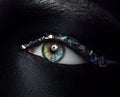 Macro and close-up creative make-up theme: beautiful female eyes Royalty Free Stock Photo