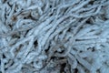 Dense tangle of white rope with dirty strands in close up Royalty Free Stock Photo