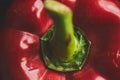 Macro close up of a fresh red sweet pepper on dark background Royalty Free Stock Photo