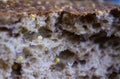 Macro close up german baked seeded grain bread roll with crispy brown crust Royalty Free Stock Photo