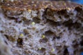 Macro close up german baked seeded grain bread roll with crispy brown crust Royalty Free Stock Photo