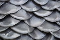 Close up of gray fish scales