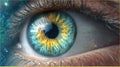 macro close-up of a human eye Royalty Free Stock Photo