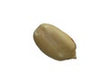 Macro close up image of peanut isolated on white background Royalty Free Stock Photo
