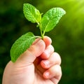 Macro close up of infants hand holding leaf. Royalty Free Stock Photo