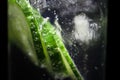 Macro close up of isolated cocktail glass with gin, sparkling tonic water, ice cube and slices of green cucumber focus on bubbles