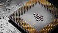 Close up of microchips and pins on Main CPU PC processor circuit Royalty Free Stock Photo