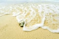 Macro close up of ocean sea water rushing in to sandy beach shore Royalty Free Stock Photo