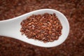 Macro Close up of Organic Brown flaxseeds Linum usitatissimum or linseed on a white ceramic soup spoon in a blurred background.