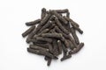 Macro close-up of Organic Indian long pepper Piper retrofractum on white background. Pile of Indian Aromatic Spice.