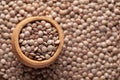 Macro Close-up of Organic masoor dal Lens culinaris or whole brown dal in an earthen clay pot kulhar on the self background. Royalty Free Stock Photo