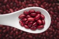 Macro Close-up of Organic Rajma,  Laal Lobia  or red kidney beans dal on a white ceramic soup spoon in a blurred background. Royalty Free Stock Photo