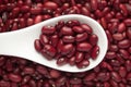 Macro Close-up of Organic Rajma,  Laal Lobia  or red kidney beans dal on a white ceramic soup spoon. Royalty Free Stock Photo