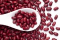 Macro Close-up of Organic Rajma,  Laal Lobia  or red kidney beans dal on a white ceramic soup spoon. Top view, over gradient Royalty Free Stock Photo