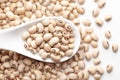 Macro Close-up of Organic soybean, Glycine max or soya bean dal on a white ceramic soup spoon. Top view, over gradient