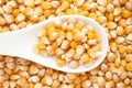 Macro Close up organic yellow corn seed or maize Zea mays on a white ceramic soup spoon.