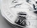 Macro close up of a pure Silver Bullion coin Royalty Free Stock Photo