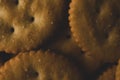 macro close up rounded salty cookies